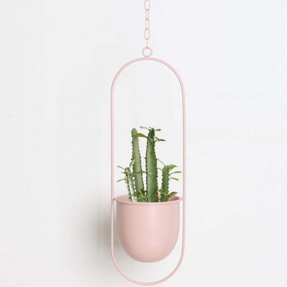 Metal Hanging Plant Holder - Durable Wall Hanging Planters for Indoor & Outdoor Use 3