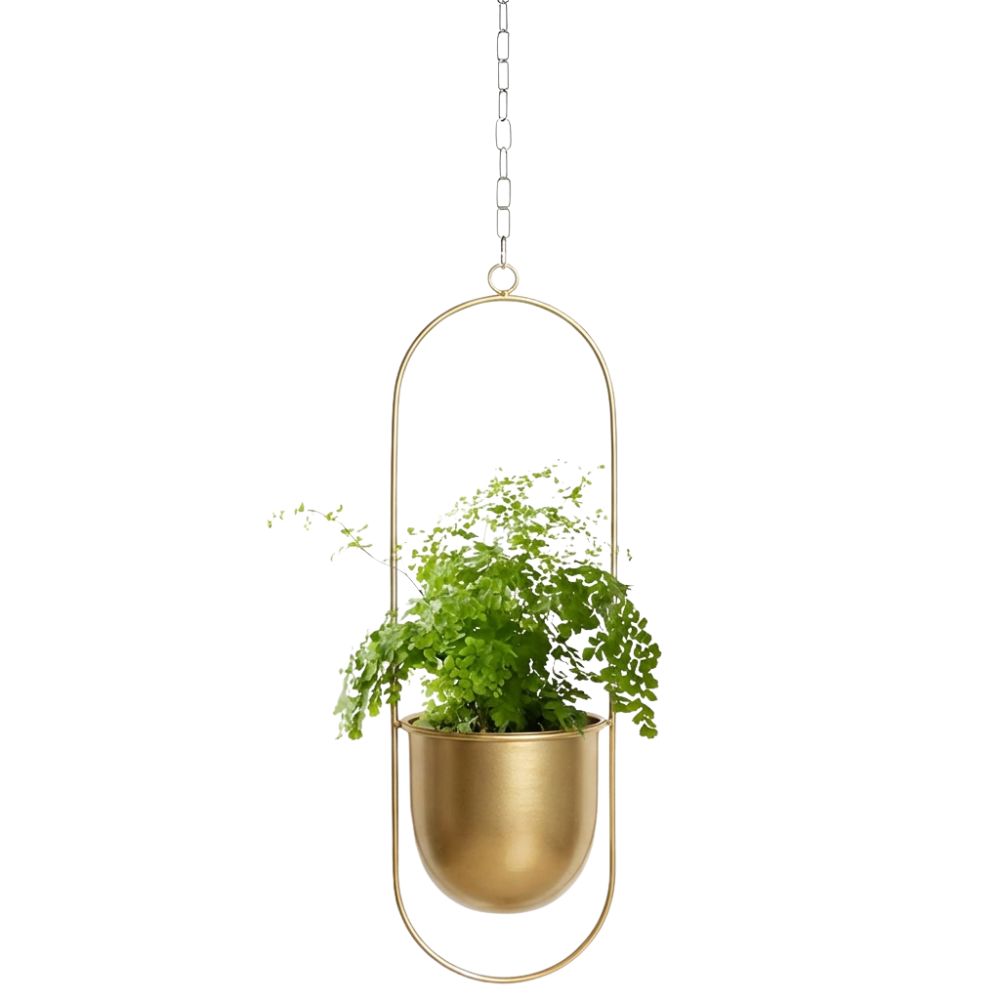 Metal Hanging Plant Holder - Durable Wall Hanging Planters for Indoor & Outdoor Use 9