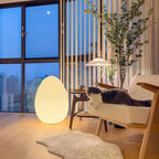 Modern Egg-Shaped Floor Lamp - Adjustable LED Lighting for Living Room 3
