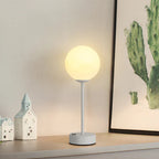 Table lamp on a surface with decorative items and a cactus plant in the background