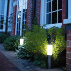 Outdoor garden scene with illuminated solar lights near a brick building