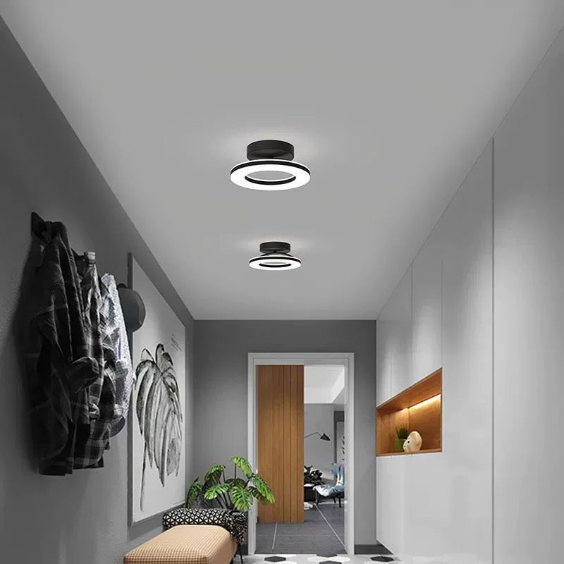 Modern hallway with ceiling lights, wall art, and a plant.
