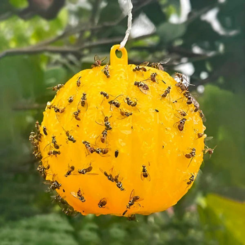 Outdoor Fly Catcher - Effective Insect Trap with Sticky Adhesive 0