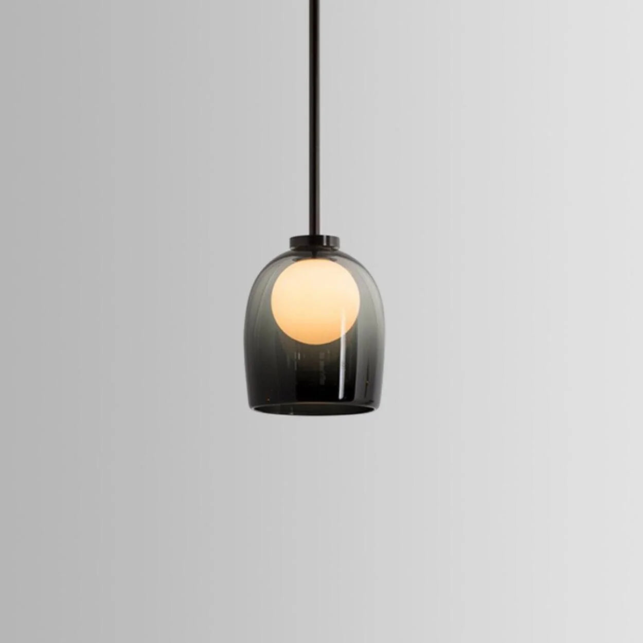 Pendant Lamp Clear Glass Shade Adjustable Cord Bi pin Bulb 6