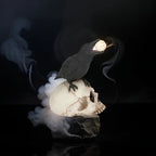 Raven Skull Decor - Handcrafted Gothic Decorative Skulls for Unique Display 1
