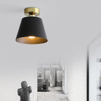 Scandinavian Ceiling Light - Minimalist Iron Shade for Modern Spaces 0