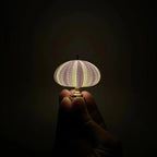 Sea Urchin Table Lamp - Unique Battery Operated Nightstand Light 3