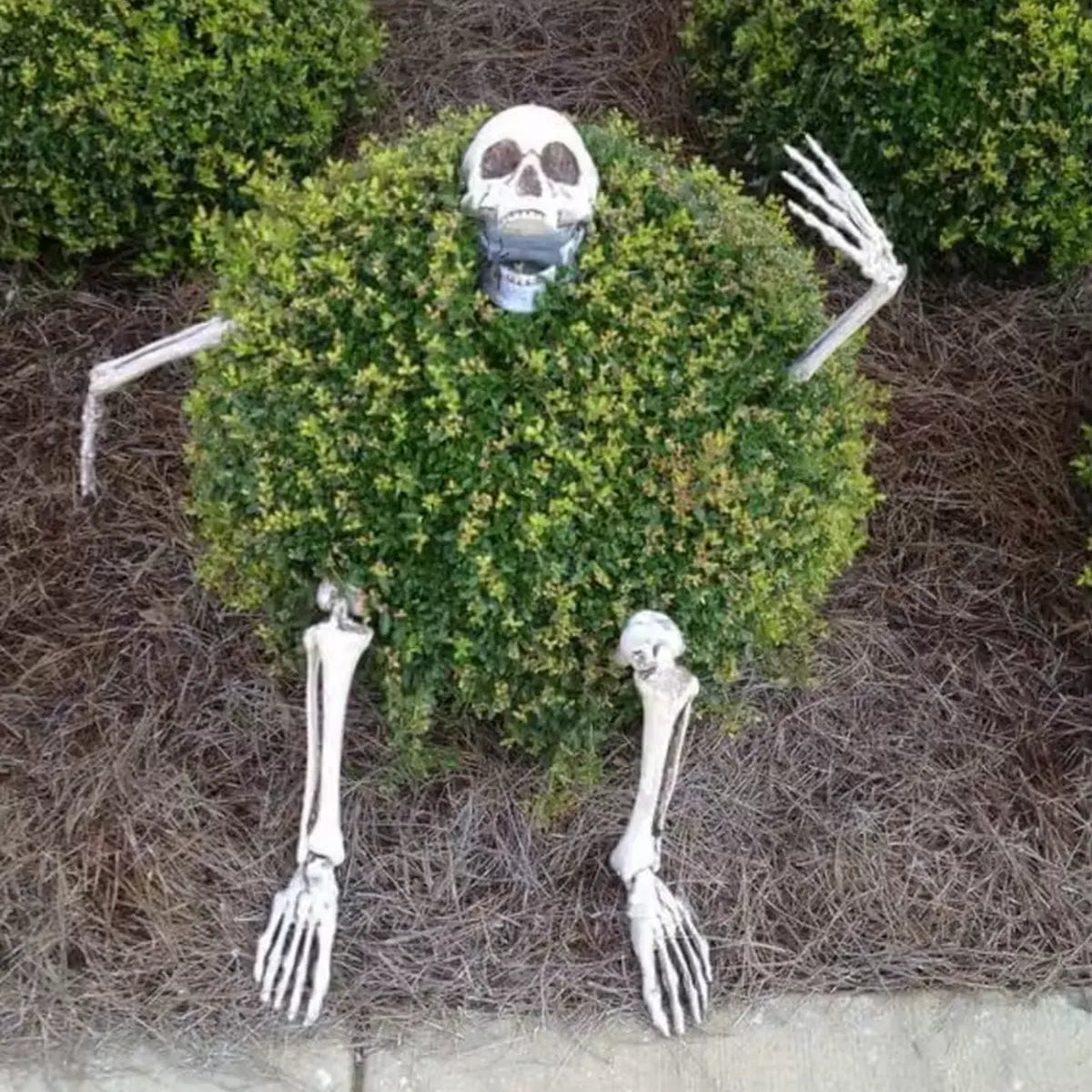 Skeleton Lawn Stakes - Realistic Halloween Graveyard Decor, Easy Setup 1