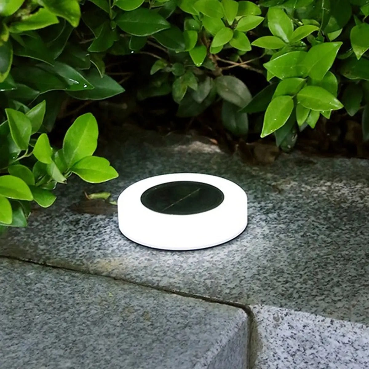Solar Garden Lights - Elegant Solar Outdoor Illumination for Your Garden 1