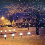 Solar Garden Lights - Weatherproof LED Outdoor Pathway Illumination 4