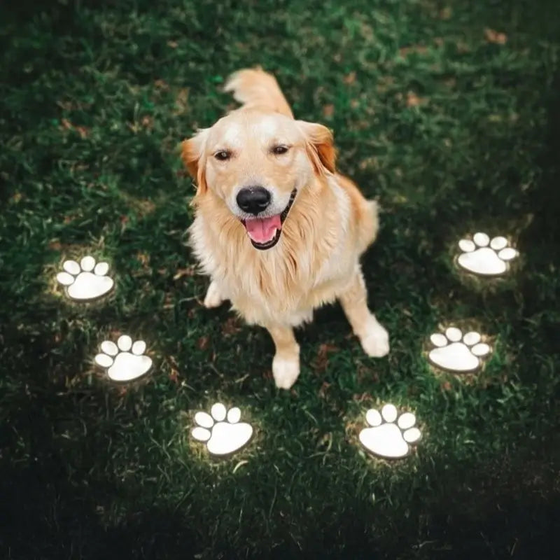 Solar Garden Lights with Paw Print Design – Weatherproof Outdoor LED Pathway Lighting with Automatic Sensor 6