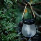 Solar lantern hanging from a branch with green foliage in the background