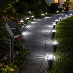Solar Pathway Lights - 8 Modes, Waterproof, Energy Efficient Design 1