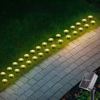 Solar Pathway Lights - 8 Modes, Waterproof, Energy Efficient Design 5