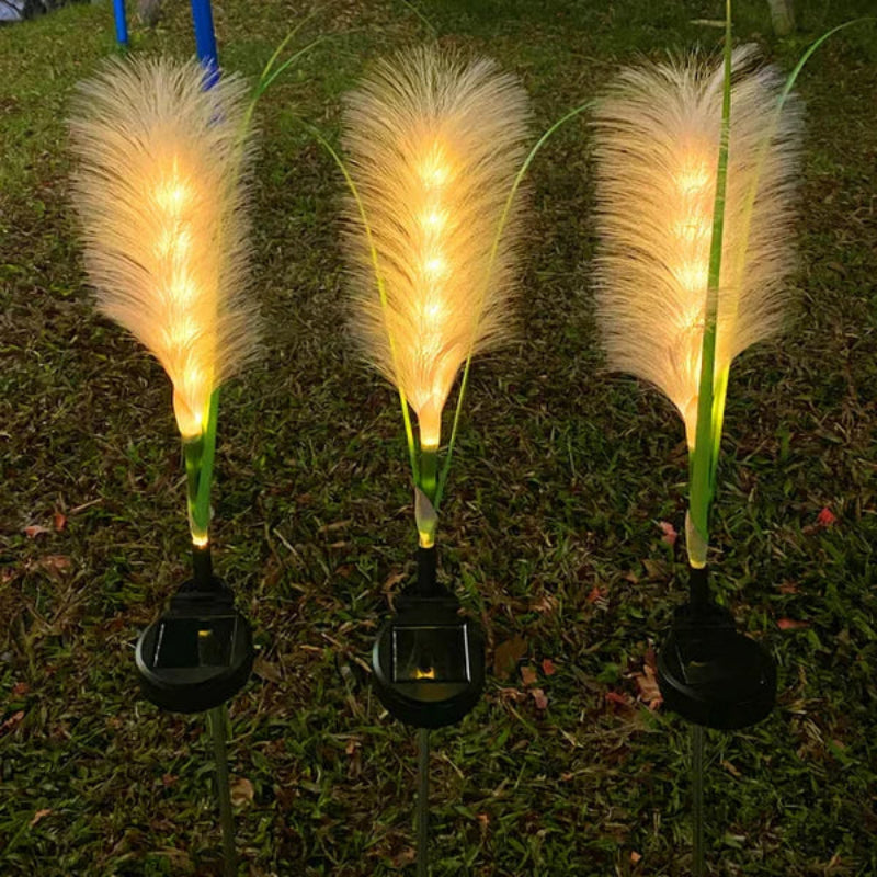 Three solar-powered feather lights on grass
