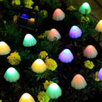 Solar String Lights Outdoor - 8 Lighting Modes for Patio Ambiance 2