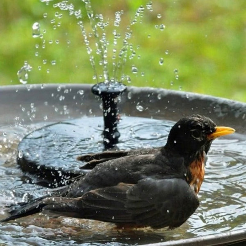 Solar Water Fountain Pump - Eco-Friendly Outdoor Bird Bath Feature 4