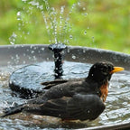 Solar Water Fountain Pump - Eco-Friendly Outdoor Bird Bath Feature 4