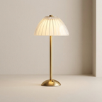 Table Lamp LED 3W Cordless USB Rechargeable Acrylic Metal 13 x 23 cm