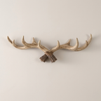 Vintage Antler Wall Mounted Coat Rack - Stylish Rustic Coat Hooks for Wall