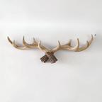 Vintage Antler Wall Mounted Coat Rack - Stylish Rustic Coat Hooks for Wall 1