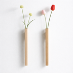 Wall Vases Glass Clear Set of 2 Hanging Wall Mounted with Mounting Hardware
