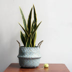 Woven Plant Basket - Versatile Storage & Stylish Home Decor Solution 1