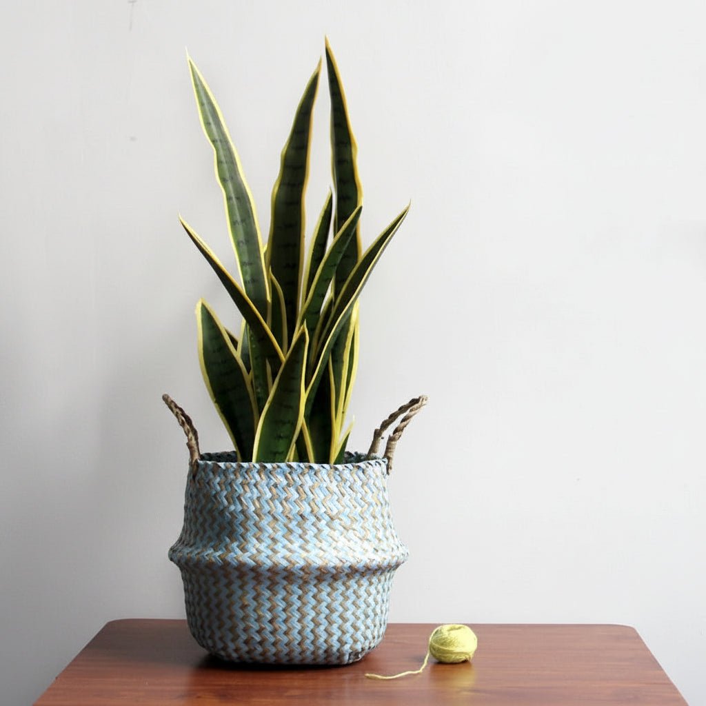 Woven Plant Basket - Versatile Storage & Stylish Home Decor Solution 1