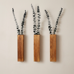 Three wooden wall planters with eucalyptus branches on a beige wall.