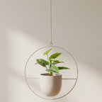 A hanging planter with a small green leafy plant in a matte cream-colored pot, suspended inside a thin circular metal frame against a warm beige wall.