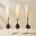 Three solar-powered decorative lawn lights with fluffy white pampas-style grass and warm white LED lights, mounted on black circular bases with thin metal stakes, shown against a beige wall and sand surface.