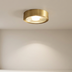 A modern flush-mount ceiling light fixture in brushed gold with a frosted glass diffuser, shown illuminated on a clean white ceiling and wall.