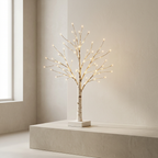 Enchanted Birch Tree Light with Warm Ambient Glow