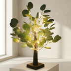 Decorative indoor plant with lights on a white surface near a window