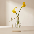 Glass Propagation Vase Lightbulb Shape Transparent Indoor Plant Display