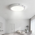 Ceiling light fixture in a modern living room setting