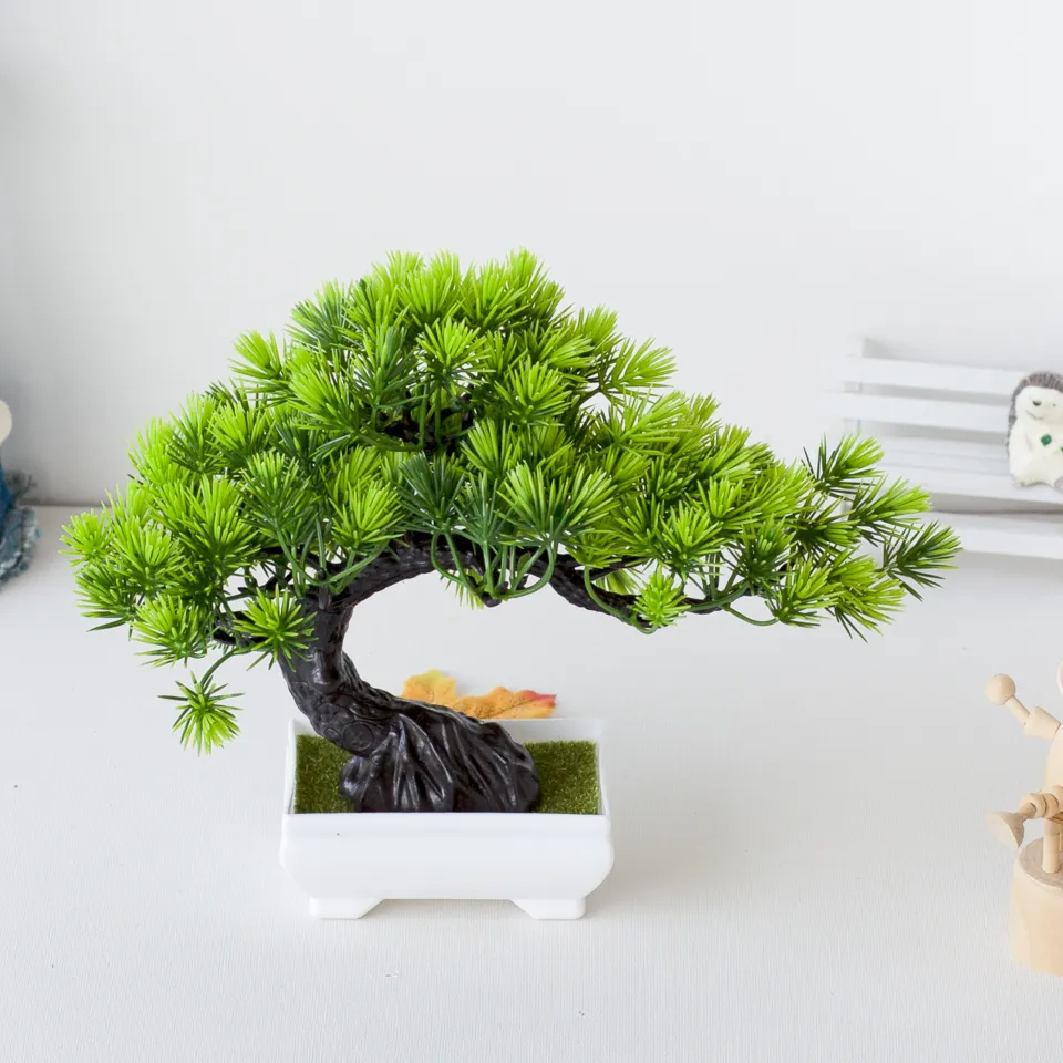 Bonsai tree in a pot on a white surface with a neutral background