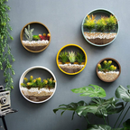 Five circular wall-mounted terrariums with faux succulents and gravel, arranged on a gray wall with decorative plants and a vintage camera prop.