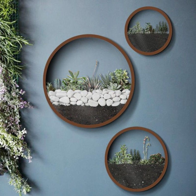 Three circular wall planters with plants on a blue wall