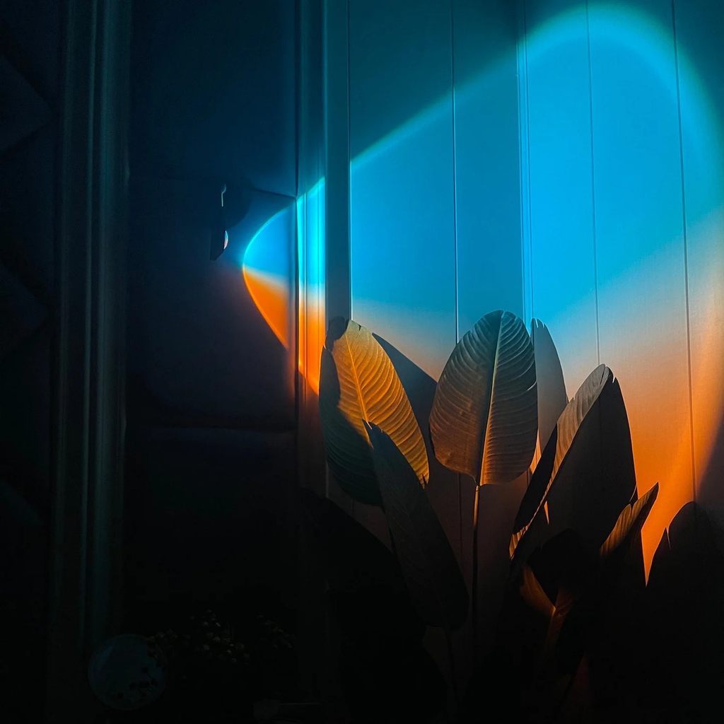 Plants with a blue and orange light shining through, creating a silhouette effect.