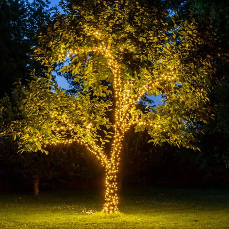 Warm white string tree lights wrapped around a leafy tree at night, casting a golden glow on the grass and foliage.
