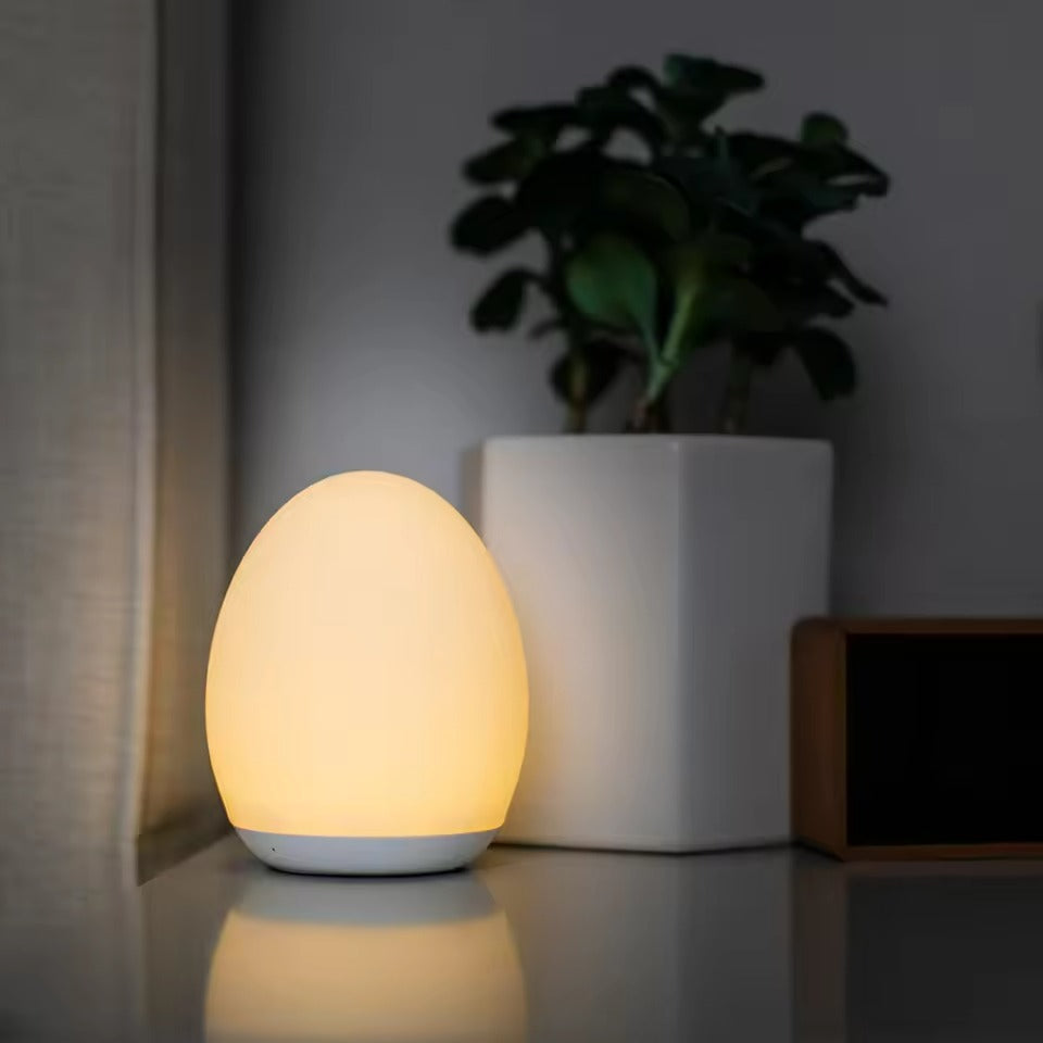 Egg-shaped night light on a surface with a plant in the background