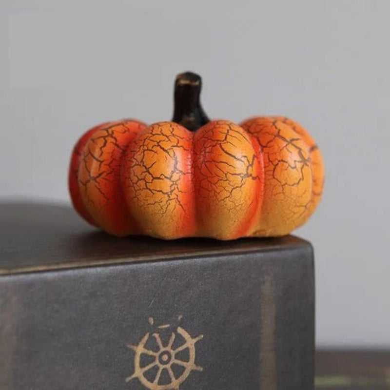 Small pumpkin with cracked texture on a dark surface